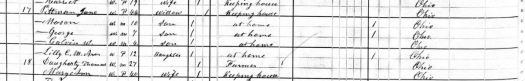 1880 Census Snip