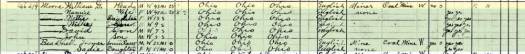1910-Census-Salineville-Columbiana