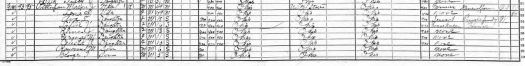 1920 Census Snip