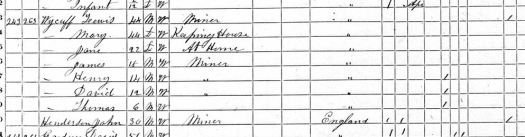 1870 Census Salineville 